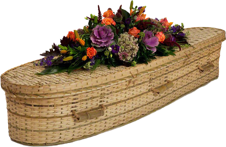 2_Tributes-Ltd_bamboo-coffin-TEARDROP_COFBAM