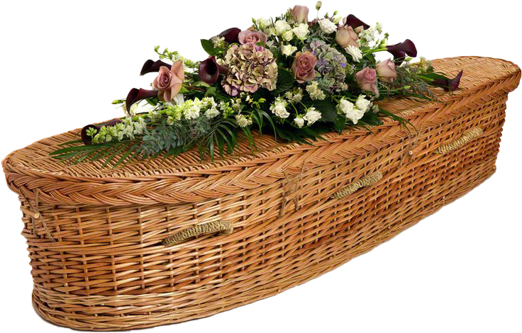 2_Tributes-Ltd_willow-coffin-TEARDROP_COFWIL